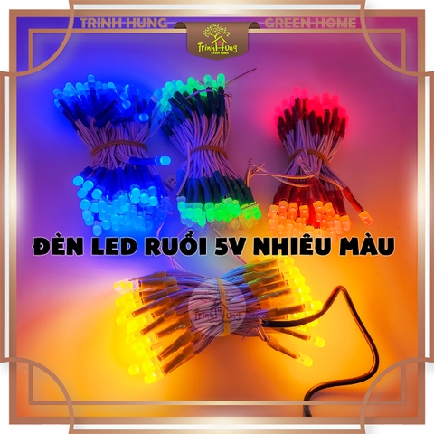 Bóng đèn led ruồi 5v