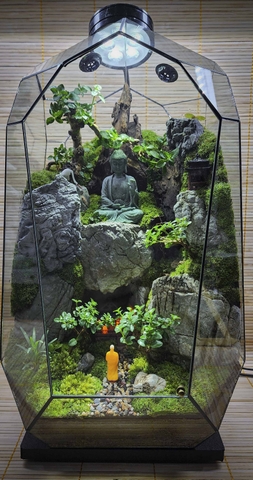 Terrarium 
