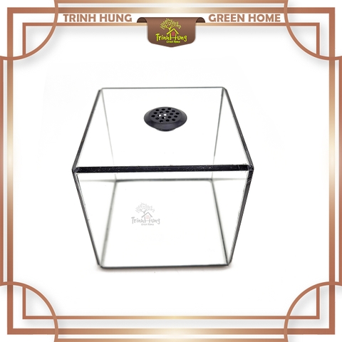 Bể cubic 10*10cm