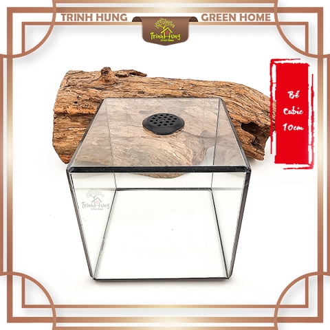 Bể cubic 10*10cm TRBK2064