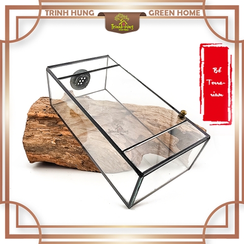 Bể terrarium TRBK2062