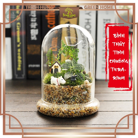Bình thủy tinh Terrarium chuông nắp chụp