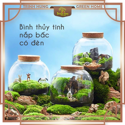 Bình thủy tinh tròn dẹt nắp bấc có đèn 15*13cm