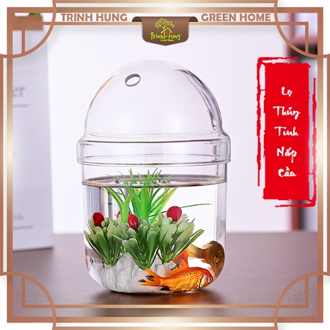 Bình thủy tinh nắp cầu 13cm