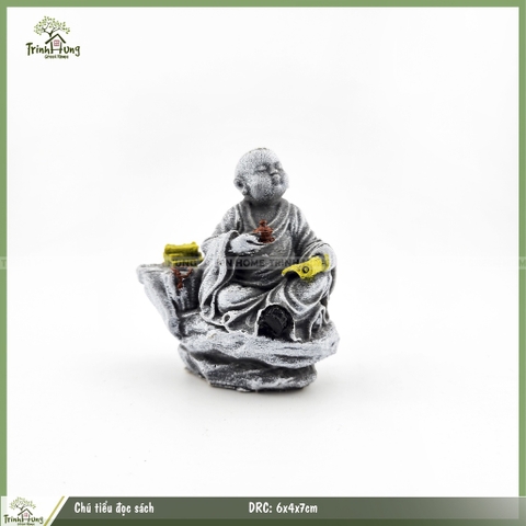 Tượng chú tiểu đọc sách