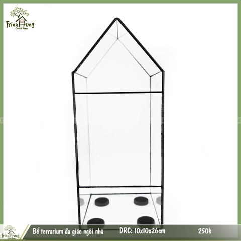 Bể terrarium hình ngôi nhà