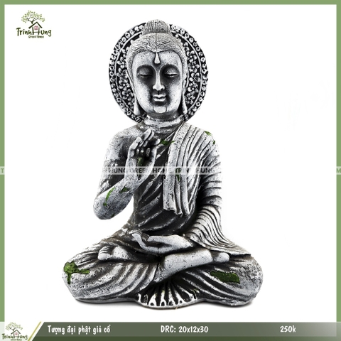 Tượng đại phật giả cổ