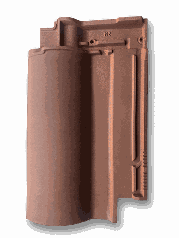 Selectum Đỏ mộc mạc[ORDER]