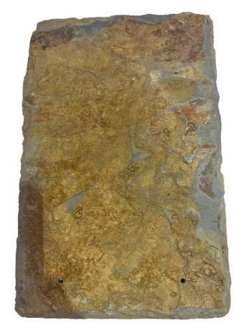 Ngói Đá Đen