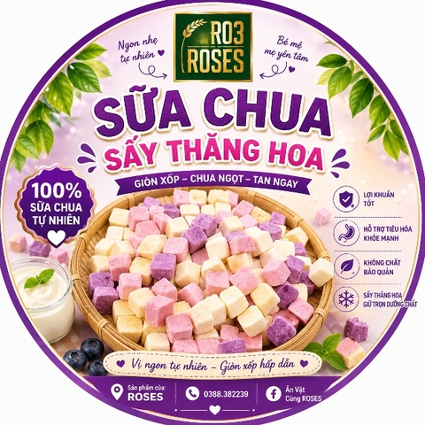 SỮA CHUA SẤY THĂNG HOA - 500gr