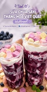 SỮA CHUA SẤY THĂNG HOA - 500gr