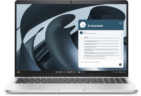 Dell Pro 16 Plus PB16255 2025 (Bạc/Ryzen AI 5 PRO/16GB/512GB/FHD+)