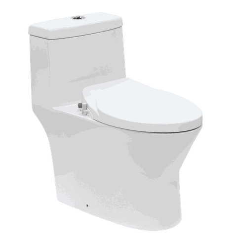 Bàn cầu liền khối nắp rửa cơ JOMOO 11213-2-1/31Z-I011