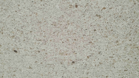 Đá Marble Vân gỗ cát | Khổ lớn 1.8 cm