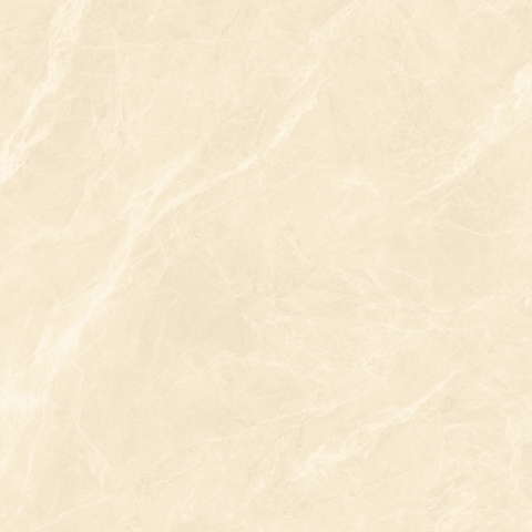 Gạch 800x800 men Bóng Porcelain TTB806A