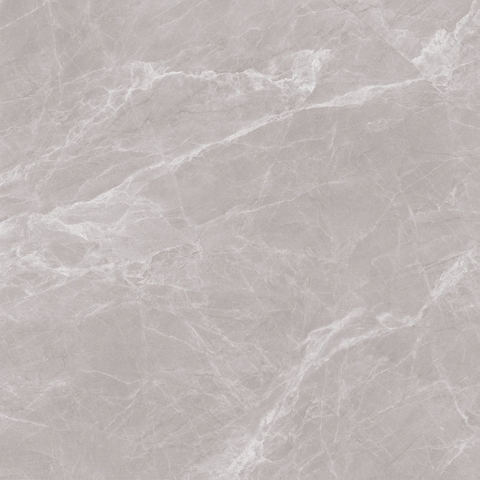 Gạch 800x800 men Bóng Porcelain TTB806B