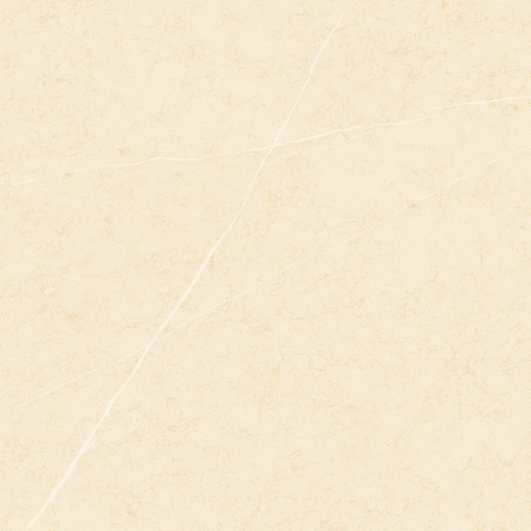 Gạch 600x600 men Bóng Porcelain TTB605A