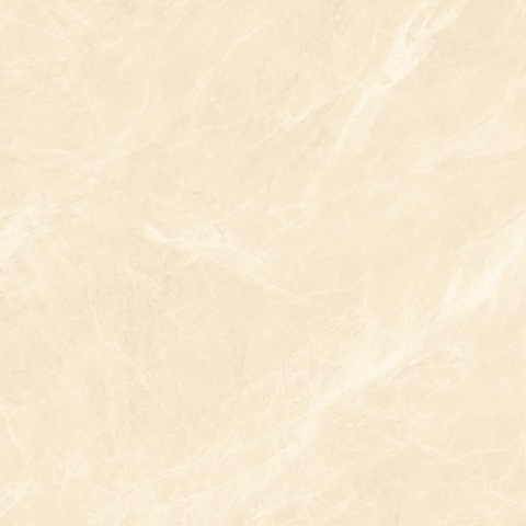 Gạch 600x600 men Bóng Porcelain TTB606A