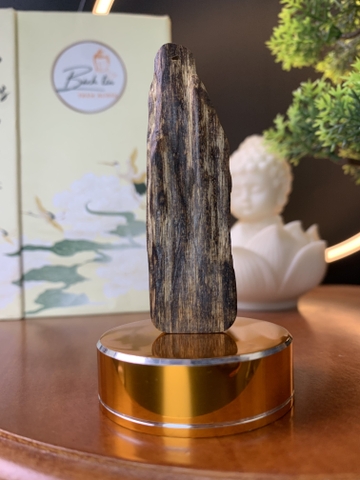 Trầm Tarakan – Vùng trầm giá trị cao nhất của trầm Indo