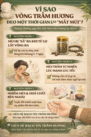 🤔 VÌ SAO VÒNG TRẦM ĐEO MỘT THỜI GIAN LẠI “KHÔNG CÒN MÙI”?