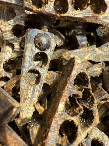 🔍 Đeo vòng trầm hương bị ngứa có phải do dầu trầm có tính nóng?