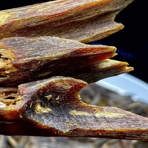 ❓ “Sao trầm hương Kỳ Hải Nam rẻ vậy anh?”