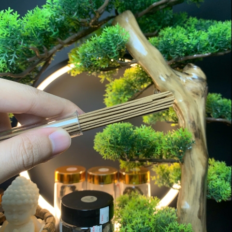 Nhang trầm hương Kỳ Hải Nam thanh ngọt, nhang không tăm dài 20cm , ống 10gram kèm đế đốt 115-01