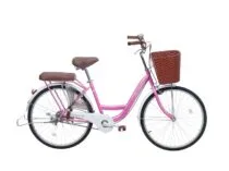 Xe Đạp Thống Nhất New 24” 2023