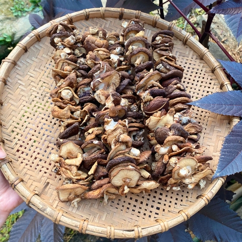 Nấm hương khô (01 xâu)