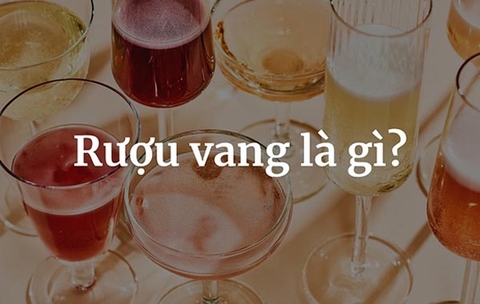 Rượu vang là gì? Kiến thức cơ bản cần phải biết về vang