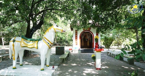 Tour Tết Âm Lịch Côn Đảo 3 Ngày 3 Đêm - Viếng Mộ Cô Sáu & Nghỉ Dưỡng Biển Đảo