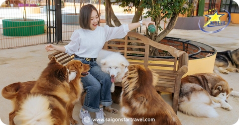 Tour Team Building Đà Lạt 3 Ngày 2 Đêm | Gala Dinner