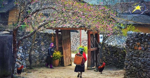 TourTết Âm Lịch Hà Giang Cao Bằng 5N4Đ – Du Xuân Địa Đầu Tổ Quốc