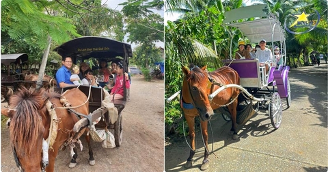 Tour Tết Âm Lịch Miền Tây 1 Ngày | Mỹ Tho - Bến Tre Du Xuân Hái Lộc Đầu Năm