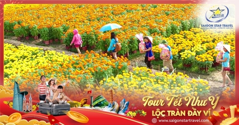 Tour Tết Âm Lịch Đồng Tháp 1 Ngày | Du xuân Làng Hoa Sa Đéc & Vườn Quýt Lai Vung