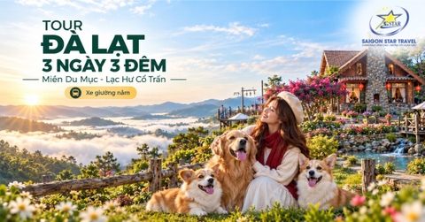 Tour Đà Lạt 3 Ngày 3 Đêm Từ TpHCM Bằng Xe Giường Nằm
