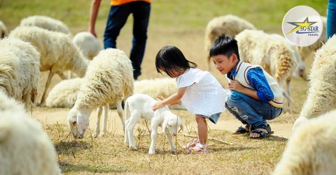 Tour Vũng Tàu 1 Ngày - Hoạt náo biển