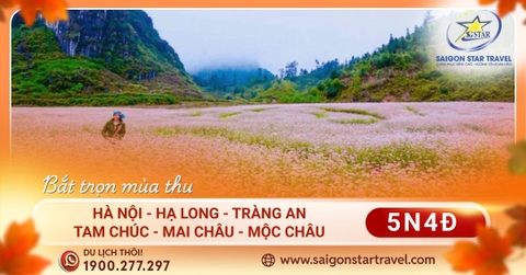 Tour Hà Nội - Hạ Long - Ninh Bình - Mộc Châu - Mai Châu 5N4Đ