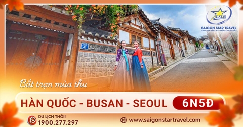 Tour Hàn Quốc - Busan - Daegu - Seoul 6 Ngày 5 Đêm