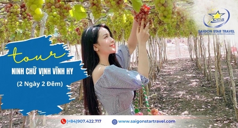 Tour Ninh Chữ Vĩnh Hy 2 Ngày 2 Đêm | Hang Rái Vĩnh Hy Biển Ninh Chữ Siêu Đẹp