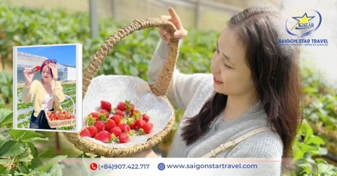 Tour Du Lịch Đà Lạt 4 Ngày 3 Đêm | Check-in Đẹp, Dịch Vụ Rõ Ràng, Dễ Đặt