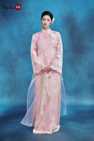Áo dài Vũ Hoa Phấn