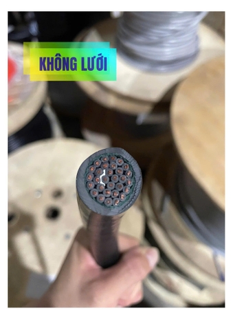 Cáp Điều Khiển ZR-PVC Không Lưới Vỏ Đen 30x1.0 SQMM
