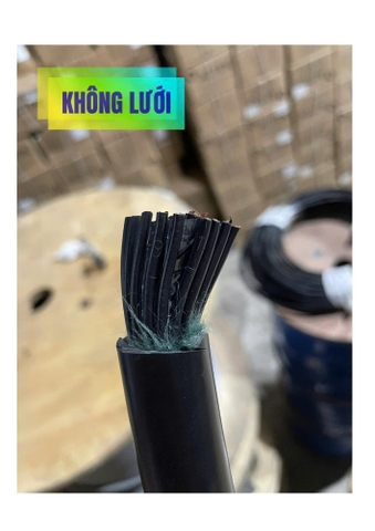 Cáp Điều Khiển ZR-PVC Không Lưới Vỏ Đen 30x1.0 SQMM