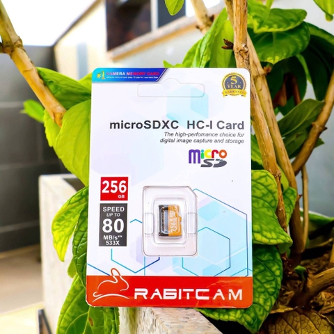 Thẻ nhớ RABIT 256GB - Hàng Chính Hãng | 5 năm | Hộp 70c