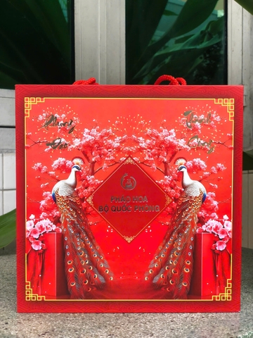 Giàn phun MIX X100 (Mix 2 loại pháo khác nhau)