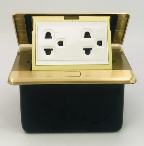 Module Ổ cắm âm sàn Simon ZD011287 gồm ổ đôi  3 chấu thường 16A  màu vàng