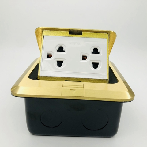 Module Ổ cắm âm sàn gồm 2 ổ cắm 3 chấu thường 16A màu Vàng Simon SEF3600