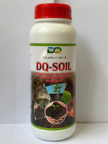 DQ-SOIL_L