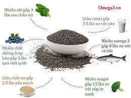 Hạt chia Ener Bio